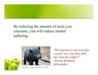 Vegetarianism Presentation