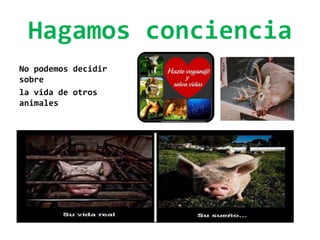 Hagamos conciencia
No podemos decidir
sobre
la vida de otros
animales
 