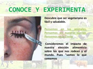 CONOCE Y EXPERIMENTA
         Descubre que ser vegetariano es
         fácil y saludable.

         Pensemos en los animales.
         Pensemos en nuestro cuerpo.
         Pensemos en la Tierra

          Consideremos el impacto de
         nuestra elección alimenticia
         sobre los que nos rodean y el
         mundo. Pues "somos lo que
         comemos
 