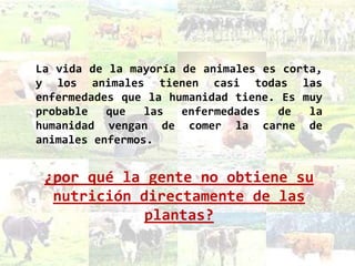 La vida de la mayoría de animales es corta,
y los animales tienen casi todas las
enfermedades que la humanidad tiene. Es muy
probable   que   las  enfermedades  de   la
humanidad vengan de comer la carne de
animales enfermos.


 ¿por qué la gente no obtiene su
  nutrición directamente de las
             plantas?
 