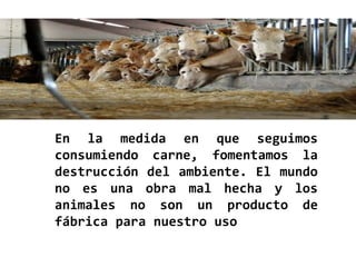 En la medida en que seguimos
consumiendo carne, fomentamos la
destrucción del ambiente. El mundo
no es una obra mal hecha y los
animales no son un producto de
fábrica para nuestro uso
 