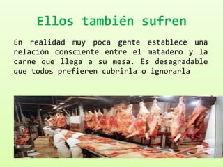 Ellos también sufren
En realidad muy poca gente establece una
relación consciente entre el matadero y la
carne que llega a su mesa. Es desagradable
que todos prefieren cubrirla o ignorarla
 