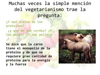 Muchas veces la simple mención
   del vegetarianismo trae la
           pregunta:
¿Y qué acerca de las
proteínas?
 ¿y qué de los cerdos? ¿Y
los peces? ¿Y los pollos?

Se dice que la carne
tiene el monopolio de la
proteína y de que se
requiere gran cantidad de
proteína para la energía
y la fuerza
 