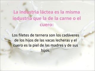 La industria láctea es la misma
industria que la de la carne o el
              cuero:
Los filetes de ternera son los cadáveres
  de los hijos de las vacas lecheras y el
 cuero es la piel de las madres y de sus
                   hijos.
 
