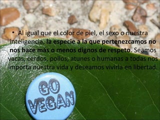 • Al igual que el color de piel, el sexo o nuestra
 inteligencia, la especie a la que pertenezcamos no
 nos hace más o menos dignos de respeto. Seamos
vacas, cerdos, pollos, atunes o humanas a todas nos
importa nuestra vida y deseamos vivirla en libertad.
 
