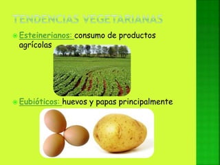  Esteinerianos: consumo de productos
agrícolas
 Eubióticos: huevos y papas principalmente
 