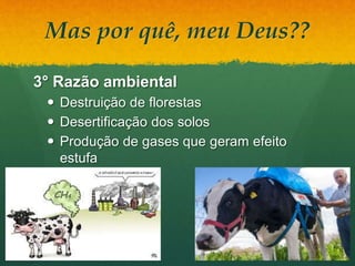 Mas por quê, meu Deus??
3° Razão ambiental
 Destruição de florestas
 Desertificação dos solos
 Produção de gases que geram efeito
estufa
 
