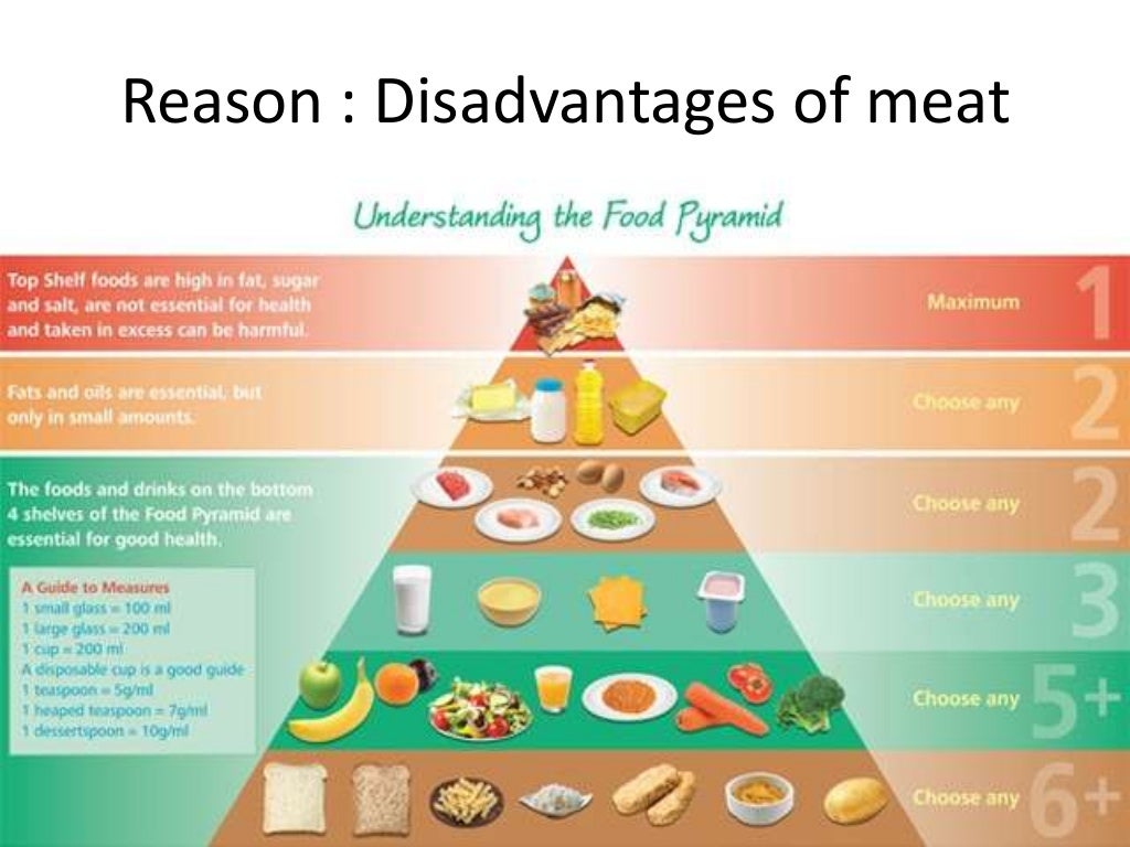 Argumentative essay: Vegetarian Diet