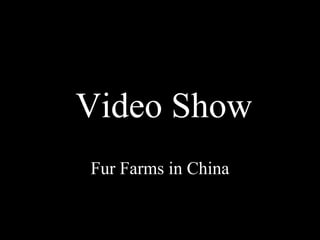 Video Show
Fur Farms in China
 