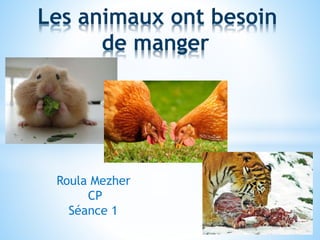 Les animaux ont besoin
de manger
Roula Mezher
CP
Séance 1
 