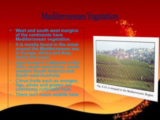 Mediterranean Vegetation
• West and south west margins
of the continents have
Mediterranean vegetation.
• It is mostly found in the areas
around the Mediterranean sea
in Europe, Africa and Asia,
hence the name
• Also found in California in the
USA, south west Africa, south
western South America and
South west Australia .
• Citrus fruits such as oranges,
figs, olives and grapes are
commonly cultivated here.
• There isn’t much wildlife here.
 