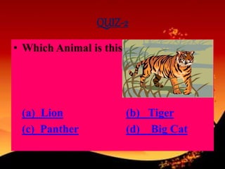 QUIZ-2
• Which Animal is this :-
(a) Lion (b) Tiger
(c) Panther (d) Big Cat
 