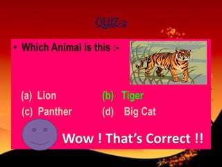 QUIZ-2
• Which Animal is this :-
(a) Lion (b) Tiger
(c) Panther (d) Big Cat
 