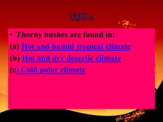 QUIZ-4
• Thorny bushes are found in:
(a) Hot and humid tropical climate
(b) Hot and dry desertic climate
(c) Cold polar climate
 