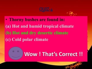 QUIZ-4
• Thorny bushes are found in:
(a) Hot and humid tropical climate
(b) Hot and dry desertic climate
(c) Cold polar climate
 
