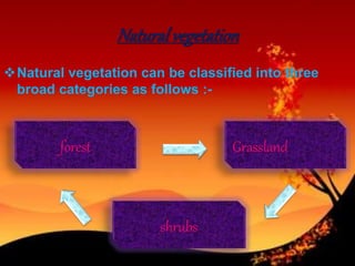 Naturalvegetation
Natural vegetation can be classified into three
broad categories as follows :-
forest Grassland
shrubs
 