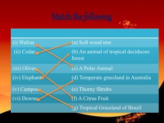 Match the following
(i) Walrus (a) Soft wood tree
(ii) Cedar (b) An animal of tropical deciduous
forest
(iii) Olives (c) A Polar Animal
(iv) Elephants (d) Temperate grassland in Australia
(v) Campos (e) Thorny Shrubs
(vi) Downs (f) A Citrus Fruit
(g) Tropical Grassland of Brazil
 