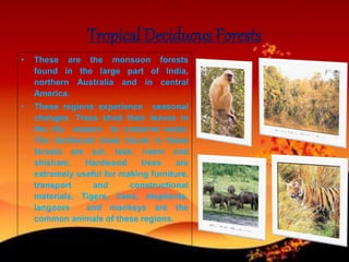 Tropical Deciduous Forests
• These are the monsoon forests
found in the large part of India,
northern Australia and in central
America.
• These regions experience seasonal
changes. Trees shed their leaves in
the dry season to conserve water.
The hardwood trees found in these
forests are sal, teak, neem and
shisham. Hardwood trees are
extremely useful for making furniture,
transport and constructional
materials. Tigers, lions, elephants,
langoors and monkeys are the
common animals of these regions.
 