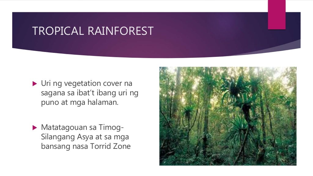 Vegetation Cover Ng Silangang Asya