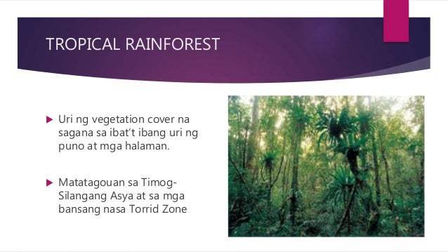 Vegetation Cover Ng Timog Silangang Asya
