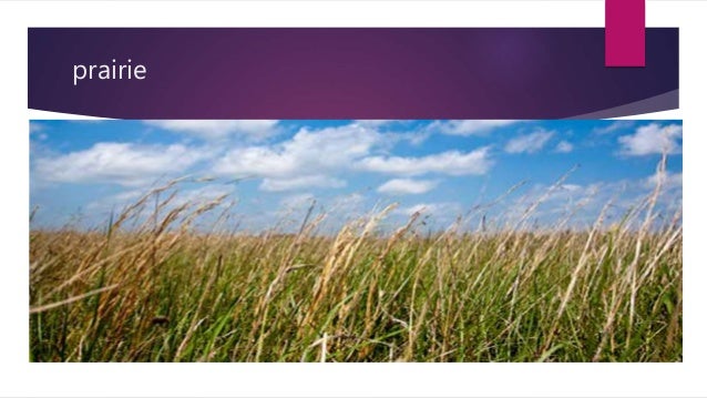 Vegetation Cover Ng Asya Behetasyon