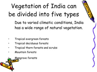 Vegetation in india