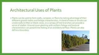 Architectural Uses of Plants
•

Plants can be used to form walls, canopies, or floors by taking advantage of their
different growth habits and foliage characteristics. A stand of trees or shrubs can
create walls to filter or block views, or a canopy of tree branches can provide a
sense of shelter. Ground cover planting with uniform foliage and textural
characteristics can present the feeling of an architectural floor. Plants can also
define a boundary

 