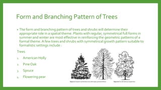 Form and Branching Pattern of Trees
•

The form and branching pattern of trees and shrubs will determine their
appropriate role in a spatial theme. Plants with regular, symmetrical full forms in
summer and winter are most effective in reinforcing the geometric patterns of a
formal theme. A few trees and shrubs with symmetrical growth pattern suitable to
formalistic settings include :

Trees
1.

American Holly

2.

Pine Oak

3.

Spruce

4.

Flowering pear

 