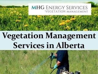 Vegetation Management
Services in Alberta
 