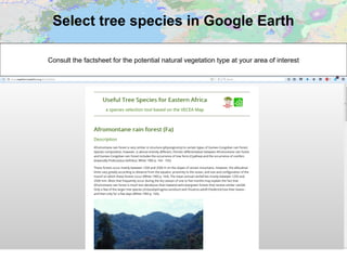 Select tree species in Google Earth
Consult the factsheet for the potential natural vegetation type at your area of interest
 