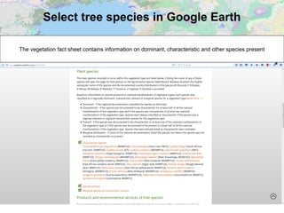 Select tree species in Google Earth
The vegetation fact sheet contains information on dominant, characteristic and other species present
 