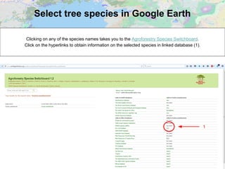 Select tree species in Google Earth
Clicking on any of the species names takes you to the Agroforestry Species Switchboard.
Click on the hyperlinks to obtain information on the selected species in linked database (1).
1
 