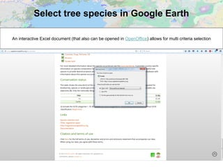 Select tree species in Google Earth
An interactive Excel document (that also can be opened in OpenOffice) allows for multi criteria selection
 