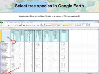 Select tree species in Google Earth
Application of the timber filter (1) selects a subset of 81 tree species (2)
1
2
 