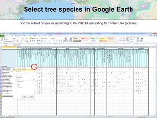 Select tree species in Google Earth
Sort the subset of species according to the PROTA star rating for Timber Use (optional)
 