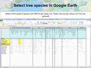 Select tree species in Google Earth
Select a final subset of species with PROTA star rating 3 for Timber Use and star rating 2 for Fruit Use
(optional)
 