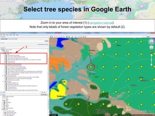 Select tree species in Google Earth
Zoom in to your area of interest (1) (navigation tutorial).
Note that only labels of forest vegetation types are shown by default (2).
1
2
 