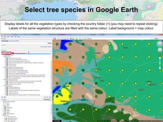 Select tree species in Google Earth
Display labels for all the vegetation types by checking the country folder (1) (you may need to repeat clicking).
Labels of the same vegetation structure are filled with the same colour. Label background = map colour.
1
 