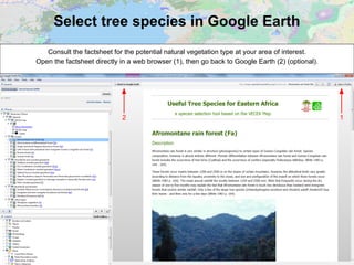 Select tree species in Google Earth
Consult the factsheet for the potential natural vegetation type at your area of interest.
Open the factsheet directly in a web browser (1), then go back to Google Earth (2) (optional).
12
 