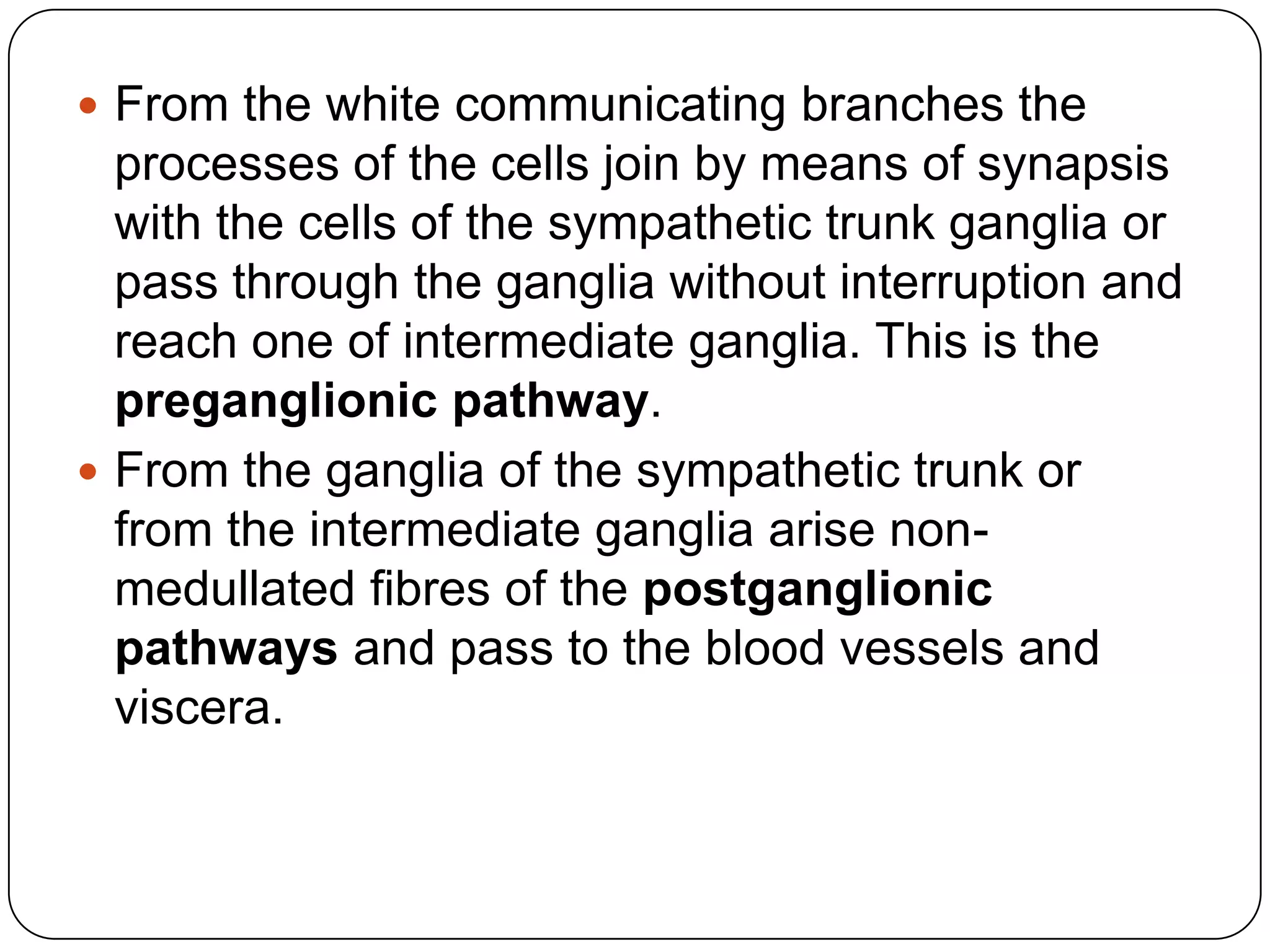  From the white communicating branches the
  processes of the cells join by means of synapsis
  with the cells of the sympathetic trunk ganglia or
  pass through the ganglia without interruption and
  reach one of intermediate ganglia. This is the
  preganglionic pathway.
 From the ganglia of the sympathetic trunk or
  from the intermediate ganglia arise non-
  medullated fibres of the postganglionic
  pathways and pass to the blood vessels and
  viscera.
 