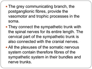  The grey communicating branch, the
  postganglionic fibres, provide the
  vasomotor and trophic processes in the
  soma.
 They connect the sympathetic trunk with
  the spinal nerves for its entire length. The
  cervical part of the sympathetic trunk is
  also connected with the cranial nerves.
 All the plexuses of the somatic nervous
  system contain therefore fibres of the
  sympathetic system in their bundles and
  nerve trunks.
 