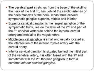  The cervical part stretches from the base of the skull to
  the neck of the first rib, lies behind the carotid arteries on
  the deep muscles of the neck. It has three cervical
  sympathetic ganglia: superior, middle and inferior.
 Superior cervical ganglion is the largest ganglion of the
  sympathetic trunk, lies on the level of the 2nd and part of
  the 3rd cervical vertebrae behind the internal carotid
  artery and medial to the vagus nerve.
 Middle cervical ganglion is small and usually located at
  the intersection of the inferior thyroid artery with the
  carotid artery.
 Inferior cervical ganglion is situated behind the initial part
  of the vertebral artery, it is often fused with the 1st and
  sometimes with the 2nd thoracic ganglion to form a
  common inferior cervical ganglion.
 