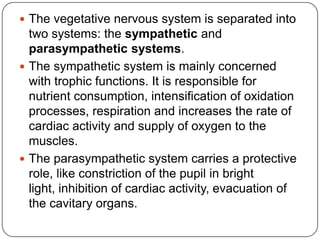  The vegetative nervous system is separated into
  two systems: the sympathetic and
  parasympathetic systems.
 The sympathetic system is mainly concerned
  with trophic functions. It is responsible for
  nutrient consumption, intensification of oxidation
  processes, respiration and increases the rate of
  cardiac activity and supply of oxygen to the
  muscles.
 The parasympathetic system carries a protective
  role, like constriction of the pupil in bright
  light, inhibition of cardiac activity, evacuation of
  the cavitary organs.
 
