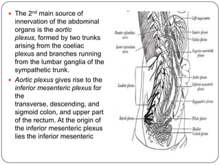  The 2nd main source of            ganglion whose
  innervation of the abdominal      postganglionic fibres pass to
  organs is the aortic              the pelvis as components of
  plexus, formed by two trunks      the hypogastric nerves.
  arising from the coeliac
  plexus and branches running
  from the lumbar ganglia of the
  sympathetic trunk.
 Aortic plexus gives rise to the
  inferior mesenteric plexus for
  the
  transverse, descending, and
  sigmoid colon, and upper part
  of the rectum. At the origin of
  the inferior mesenteric plexus
  lies the inferior mesenteric
 