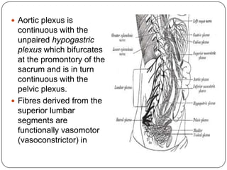  Aortic plexus is           relation to the penis and
  continuous with the        motor in relation to the
  unpaired hypogastric       uterus and the sphincter
  plexus which bifurcates    urethrae muscle.
  at the promontory of the
  sacrum and is in turn
  continuous with the
  pelvic plexus.
 Fibres derived from the
  superior lumbar
  segments are
  functionally vasomotor
  (vasoconstrictor) in
 