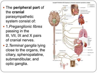  The peripheral part of
  the cranial
  parasympathetic
  system consist of:
 1.Preganglionic fibres
  passing in the
  III, VII, IX and X pairs
  of cranial nerves.
 2.Terminal ganglia lying
  close to the organs, the
  ciliary, sphenopalatine,
  submandibular, and
  optic ganglia.
 