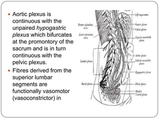  The peripheral part of
  the cranial
  parasympathetic
  system consist of:
 1.Preganglionic fibres
  passing in the
  ...