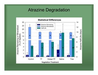 Atrazine Degradation
Statistical Differences
Vegetation Treatment
Control TF Hedge+TF Native Tree
AtrazineRemainingorMineralized
(%ofApplied)
0
1
2
3
4
5
10
15
20
25
30
AtrazineHalf-Life(days)
0
2
4
6
8
10
12
14
Atrazine Remaining
Atrazine Mineralized
Half-Life
a a a
a
a
a b b b b
a a a b ab
 