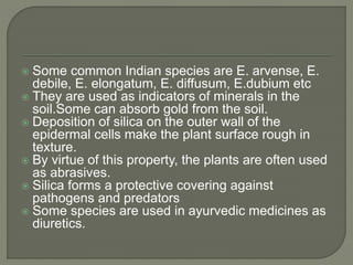 Some common Indian species are E. arvense, E.
debile, E. elongatum, E. diffusum, E.dubium etc
 They are used as indicators of minerals in the
soil.Some can absorb gold from the soil.
 Deposition of silica on the outer wall of the
epidermal cells make the plant surface rough in
texture.
 By virtue of this property, the plants are often used
as abrasives.
 Silica forms a protective covering against
pathogens and predators
 Some species are used in ayurvedic medicines as
diuretics.
 
