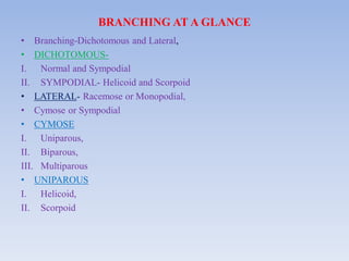 Uniparous Vegetative morphology- A general account Stems with modifications. | PDF